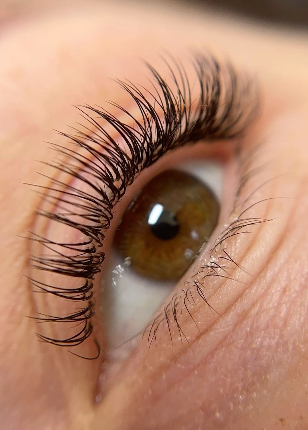 Classics lash set